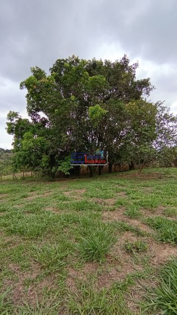 Foto 31 do(a) Fazenda / Sítio / Chácara de 2 quartos à venda em Estância do Sereno Sede, Betim