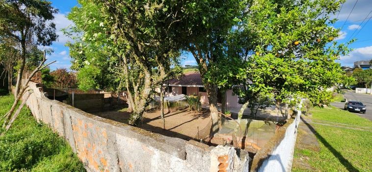 Foto 8 do(a) Terreno false à venda em Vila Solene, Campo Largo