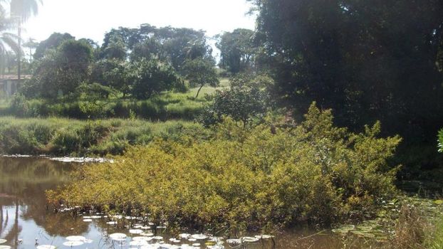 Foto 3 do(a) Terreno false à venda em Icaivera, Contagem