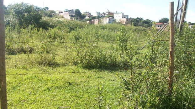 Foto 1 do(a) Terreno false à venda em Icaivera, Contagem