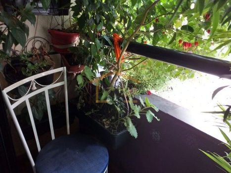 Foto 11 do(a) Apartamento de 3 quartos à venda em Lauzane Paulista, São Paulo
