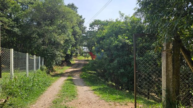 Foto 7 do(a) Fazenda / Sítio / Chácara de 3 quartos à venda em Colônia Murici, São José dos Pinhais