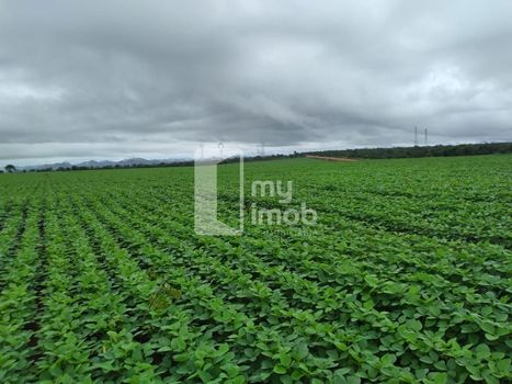 Foto 5 do(a) Fazenda / Sítio / Chácara de 3 quartos à venda em null, Niquelândia