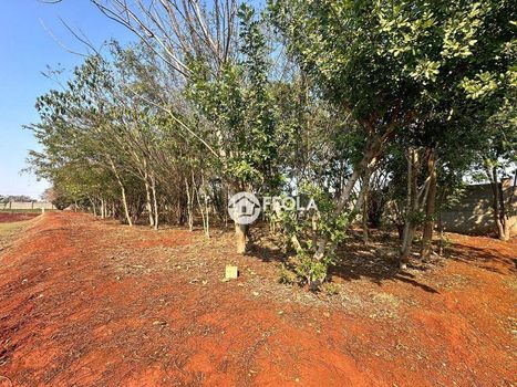 Foto 16 do(a) Terreno false à venda em Parque Fortaleza, Nova Odessa