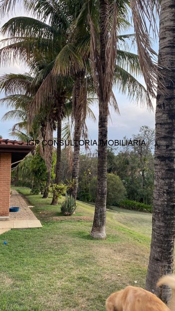 Foto 39 do(a) Fazenda / Sítio / Chácara de 4 quartos à venda em Recanto das Flores, Indaiatuba