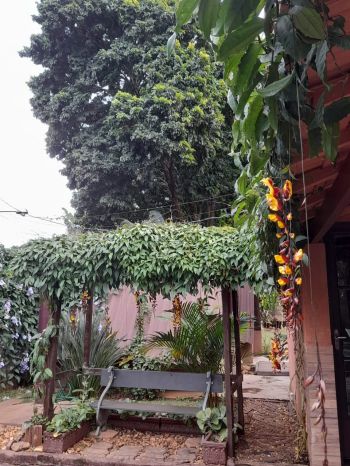Foto 23 do(a) Fazenda / Sítio / Chácara de 5 quartos à venda em Sítio Recreio São Judas Thadeu, Lençóis Paulista