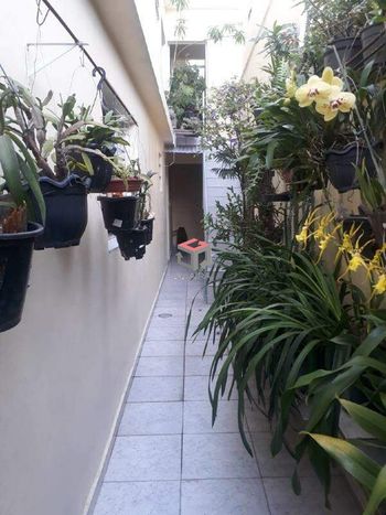 Foto 6 do(a) Casa de 2 quartos à venda em Vila Suíça, Santo André
