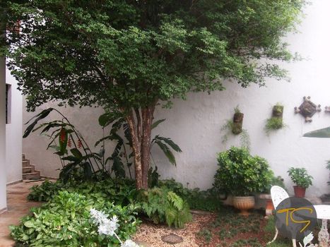 Foto 29 do(a) Casa de 4 quartos à venda em Parque Nova Campinas, Campinas