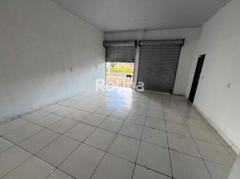 Foto 5 do(a) Loja false para alugar em Loteamento Monte Hebron, Uberlândia