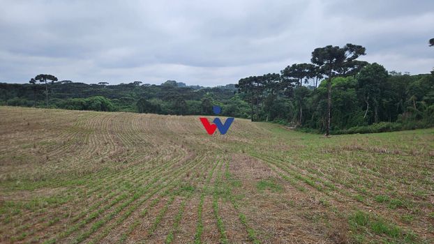 Foto 24 do(a) Fazenda / Sítio / Chácara de 1 quartos à venda em null, Contenda