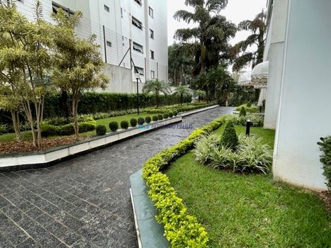 Foto 24 do(a) Apartamento de 4 quartos à venda em Vila Monte Alegre, São Paulo