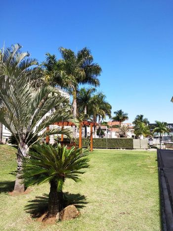 Foto 10 do(a) Apartamento false à venda em Jardim Nova Europa, Campinas