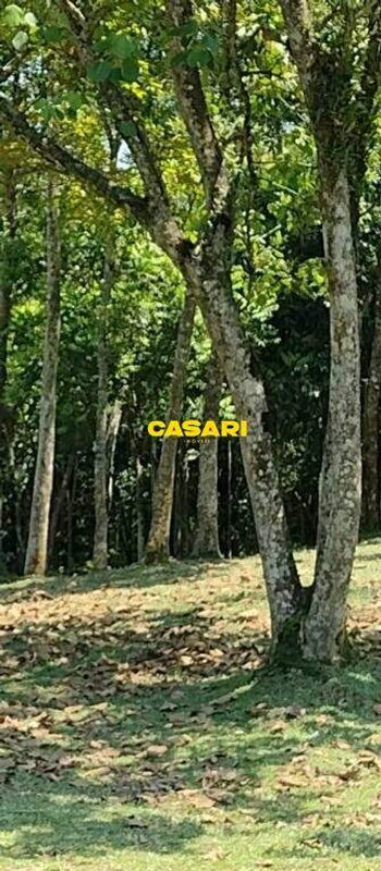 Foto 3 do(a) Terreno false à venda em Dos Finco, São Bernardo do Campo
