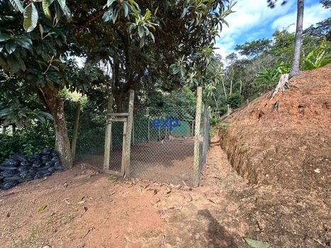 Foto 35 do(a) Fazenda / Sítio / Chácara de 3 quartos à venda em Pedro do Rio, Petrópolis