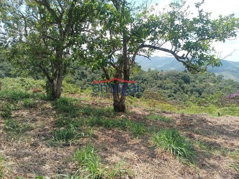 Foto 10 do(a) Terreno false à venda em Buquirinha, São José dos Campos