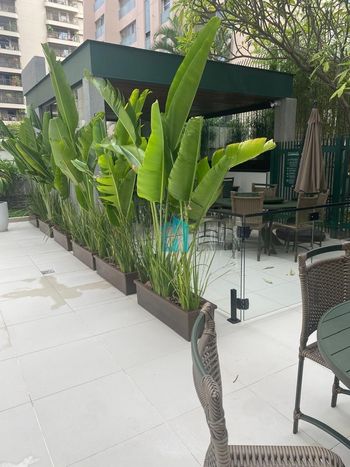 Foto 15 do(a) Apartamento de 4 quartos à venda em Vila Uberabinha, São Paulo
