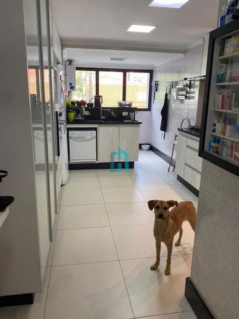Foto 6 do(a) Apartamento de 4 quartos à venda em Vila Uberabinha, São Paulo