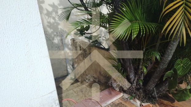 Foto 3 do(a) Casa de 2 quartos à venda em Parque Santa Mônica, São Carlos