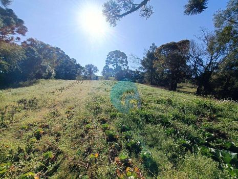 Foto 1 do(a) Fazenda / Sítio / Chácara false à venda em Colônia Murici, São José dos Pinhais