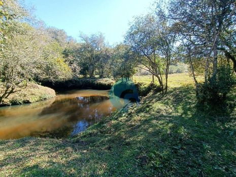 Foto 44 do(a) Fazenda / Sítio / Chácara false à venda em Colônia Murici, São José dos Pinhais