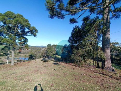 Foto 1 do(a) Fazenda / Sítio / Chácara false à venda em Colônia Murici, São José dos Pinhais