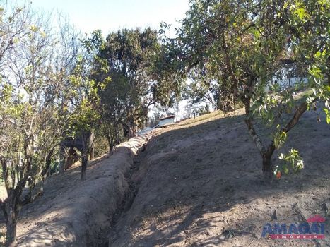 Foto 50 do(a) Fazenda / Sítio / Chácara de 3 quartos à venda em Chácaras Reunidas Igarapés, Jacareí