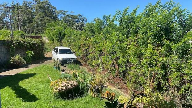 Foto 14 do(a) Fazenda / Sítio / Chácara false à venda em Reforma Agrária, Valinhos