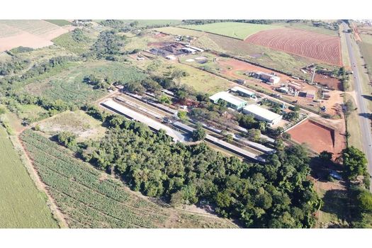 Foto 6 do(a) Fazenda / Sítio / Chácara de 6 quartos à venda em null, Conchal