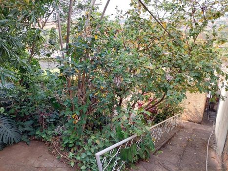 Foto 3 do(a) Casa em Condomínio false à venda em Jardim Carlos Lourenço, Campinas