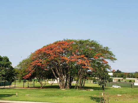 Foto 12 do(a) Casa em Condomínio false à venda em Tanquinho Velho, Jaguariúna