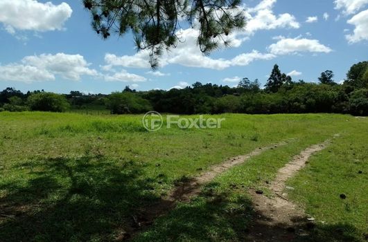 Foto 10 do(a) Fazenda / Sítio / Chácara de 3 quartos à venda em Passo do Vigário, Viamão