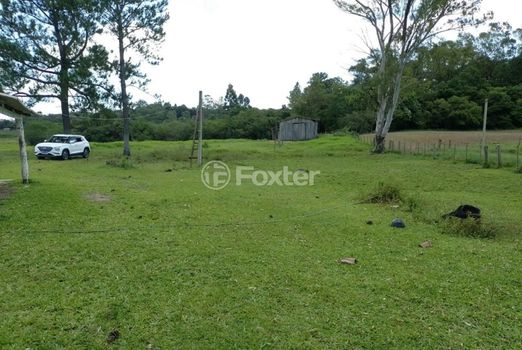 Foto 6 do(a) Fazenda / Sítio / Chácara de 3 quartos à venda em Passo do Vigário, Viamão