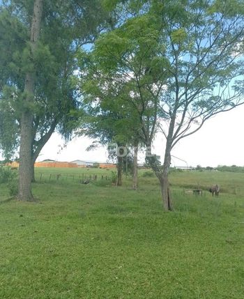 Foto 2 do(a) Fazenda / Sítio / Chácara de 3 quartos à venda em Passo do Vigário, Viamão