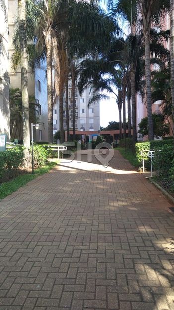 Foto 32 do(a) Apartamento de 3 quartos à venda em Cambuci, São Paulo