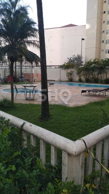 Foto 31 do(a) Apartamento de 3 quartos à venda em Cambuci, São Paulo