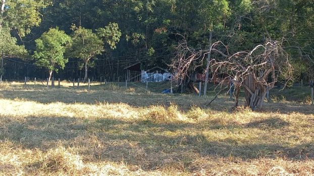 Foto 7 do(a) Fazenda / Sítio / Chácara de 3 quartos à venda em Área Rural de Piratininga, Piratininga