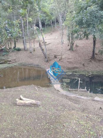 Foto 50 do(a) Fazenda / Sítio / Chácara de 2 quartos à venda em Tatetos, São Bernardo do Campo