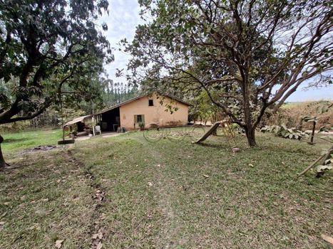 Foto 41 do(a) Fazenda / Sítio / Chácara de 3 quartos à venda em São Jorge, Piracicaba