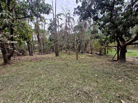 Foto 43 do(a) Fazenda / Sítio / Chácara de 3 quartos à venda em São Jorge, Piracicaba