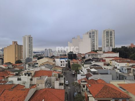 Foto 13 do(a) Apartamento de 3 quartos à venda em Cambuci, São Paulo