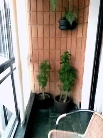 Foto 3 do(a) Apartamento de 3 quartos à venda em Vila Monumento, São Paulo