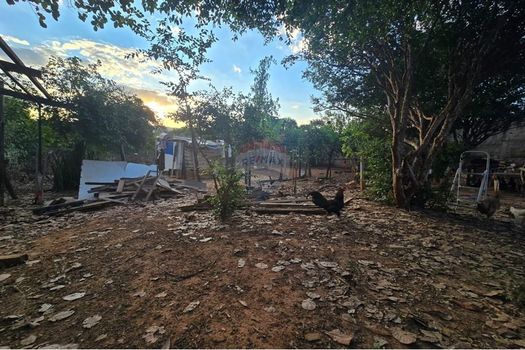 Foto 22 do(a) Fazenda / Sítio / Chácara de 2 quartos à venda em Vale das Paineiras, Americana