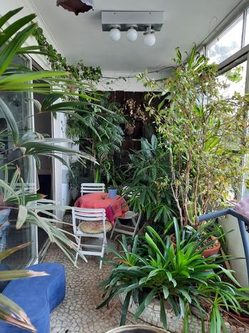 Foto 4 do(a) Apartamento de 3 quartos à venda em Higienópolis, São Paulo