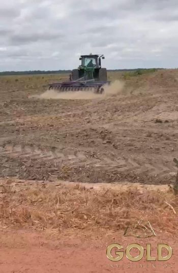 Foto 3 do(a) Fazenda / Sítio / Chácara false à venda em null, São João do Soter