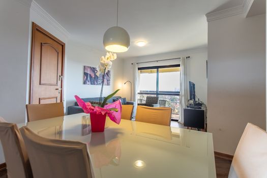 Foto 3 do(a) Apartamento de 3 quartos à venda em Vila Mascote, São Paulo