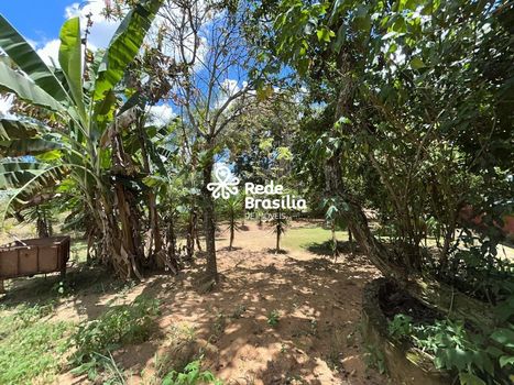 Foto 44 do(a) Fazenda / Sítio / Chácara de 14 quartos à venda em Setor de Chácaras Riacho Doce, Novo Gama