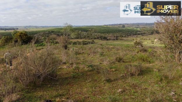 Foto 8 do(a) Fazenda / Sítio / Chácara de 2 quartos à venda em null, Canguçu