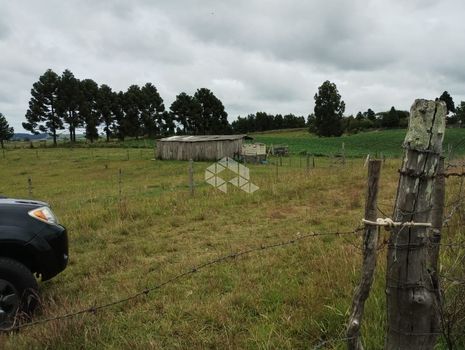 Foto 4 do(a) Fazenda / Sítio / Chácara false à venda em null, Lajeado Grande