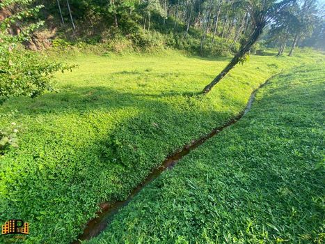 Foto 4 do(a) Terreno false à venda em null, São Lourenço da Serra
