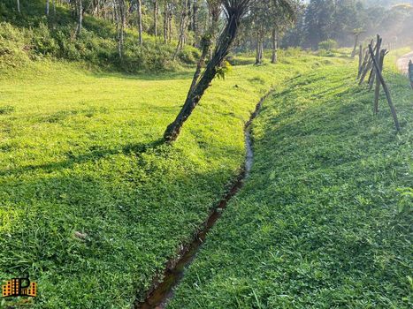 Foto 5 do(a) Terreno false à venda em null, São Lourenço da Serra